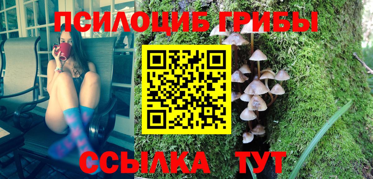 Оренбург  Псилоцибиновые грибы Cubensis  Вход с VPN 